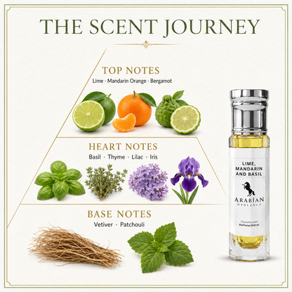 FR187 LIME, MANDARIN AND BASIL - Perfume Body Oil - Alcohol Free