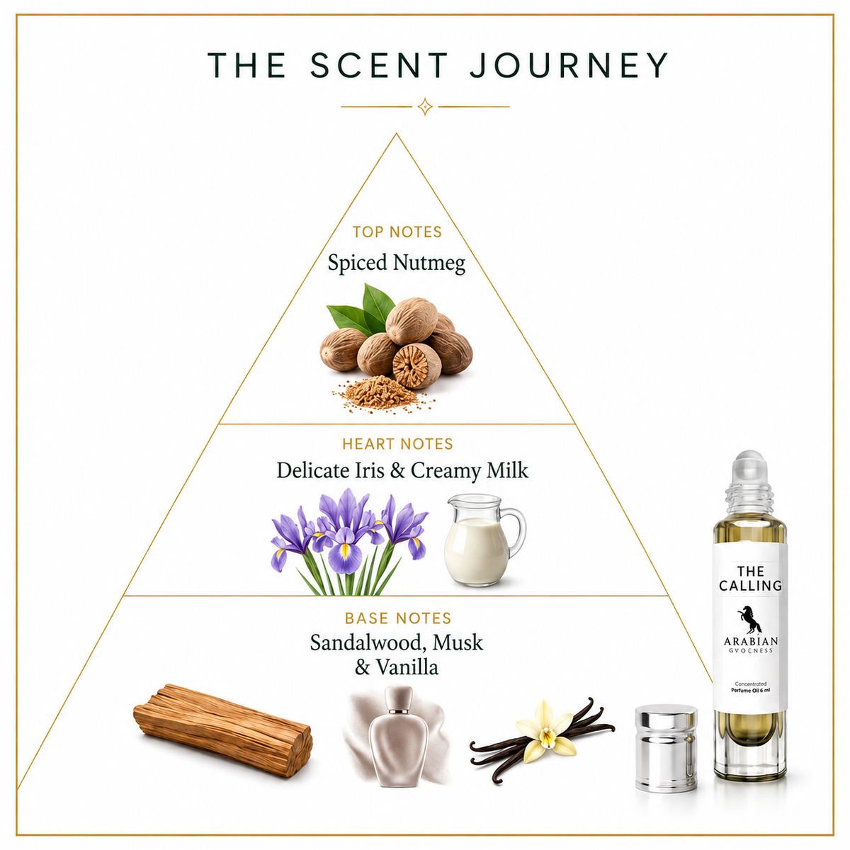 FR279 THE CALLING | Unisex  Perfume Body Oil | 6ml & 15ml - Alcohol Free